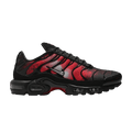 Nike Air Max Plus Flairemax