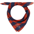 Autry Cotton & Silk Scarf